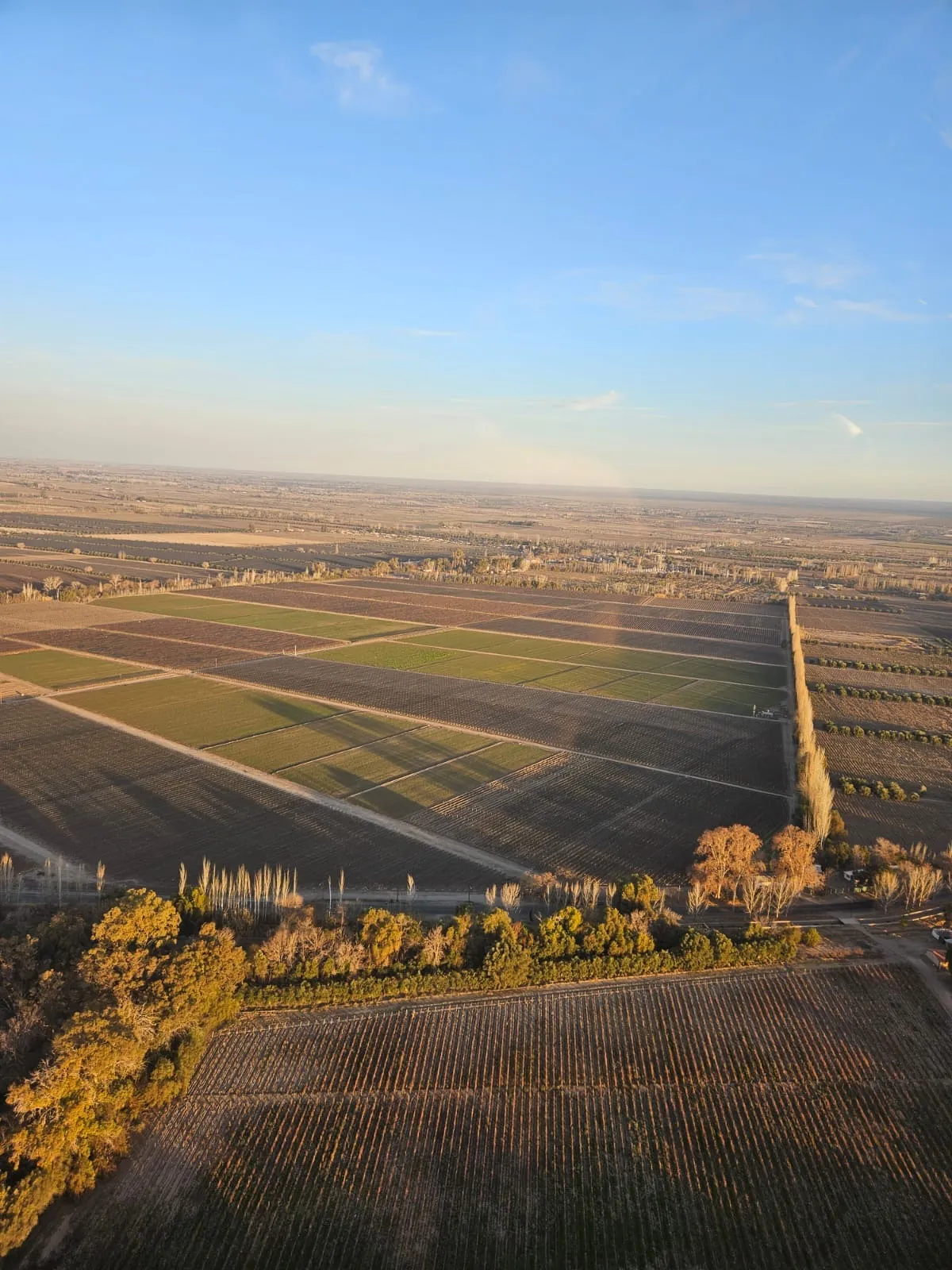 Helicóptero sobre el Carrizal