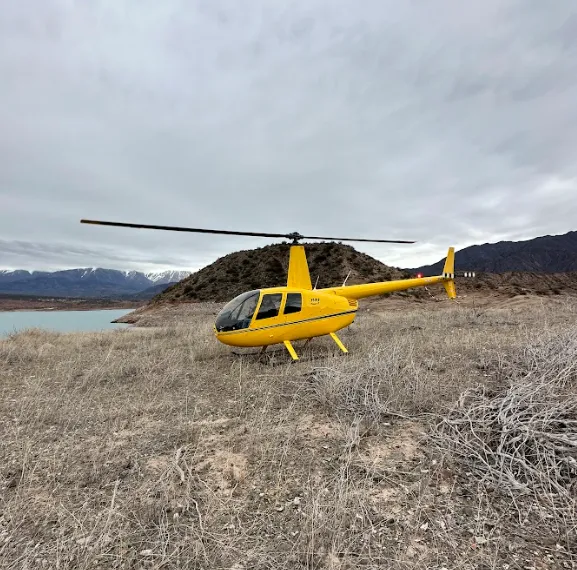 Helicóptero estacionado en pista