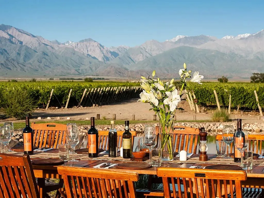 Copa de vino en bodega